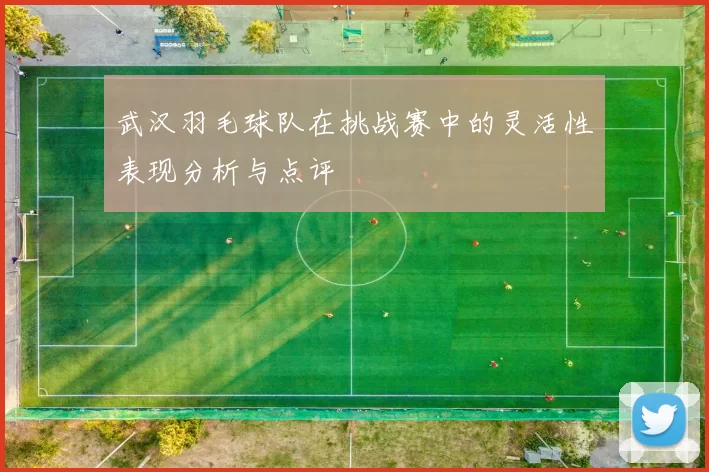 武汉羽毛球队在挑战赛中的灵活性表现分析与点评