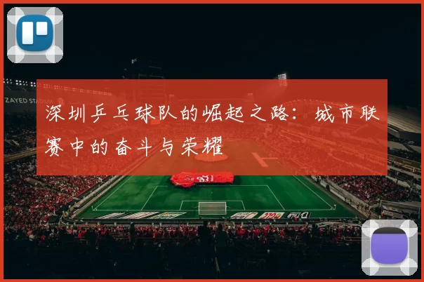 深圳乒乓球队的崛起之路：城市联赛中的奋斗与荣耀