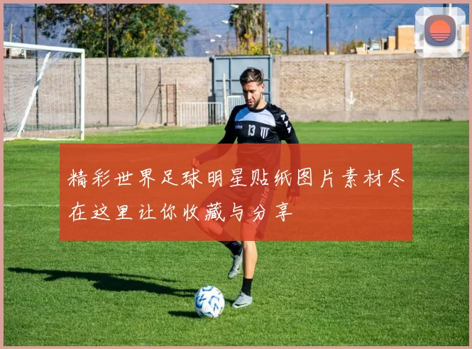 精彩世界足球明星贴纸图片素材尽在这里让你收藏与分享