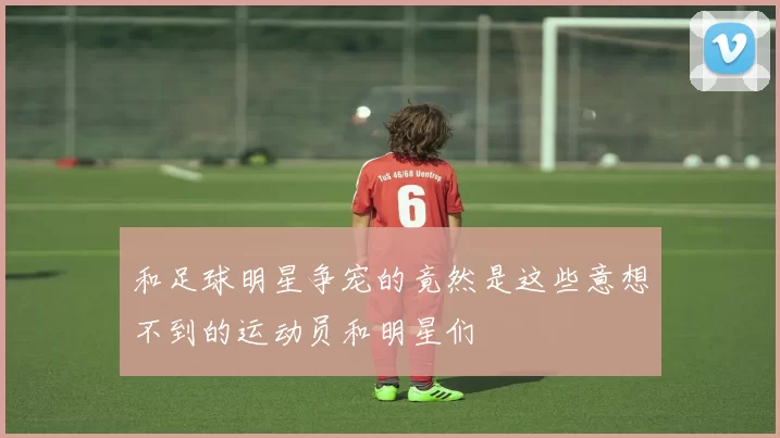 和足球明星争宠的竟然是这些意想不到的运动员和明星们
