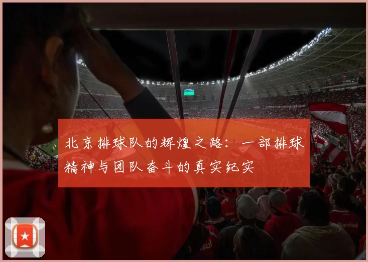 北京排球队的辉煌之路：一部排球精神与团队奋斗的真实纪实