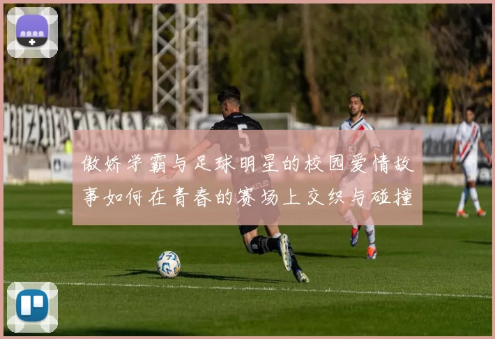 傲娇学霸与足球明星的校园爱情故事如何在青春的赛场上交织与碰撞
