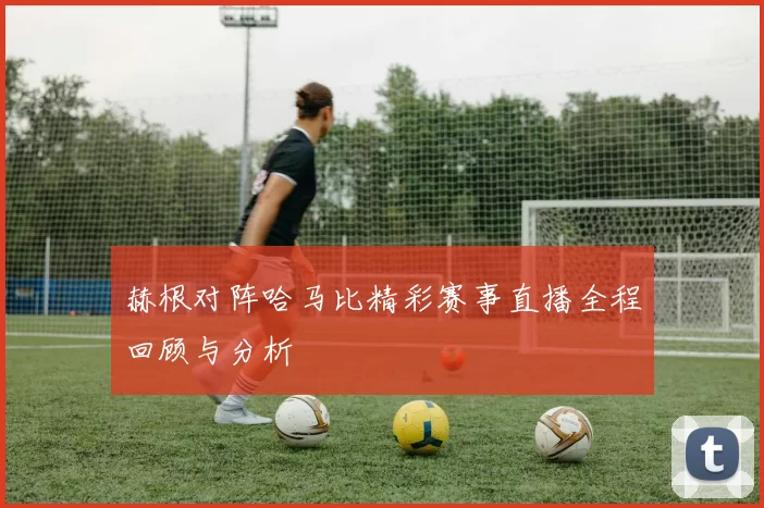 赫根对阵哈马比精彩赛事直播全程回顾与分析