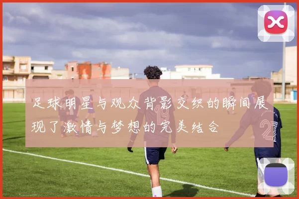 足球明星与观众背影交织的瞬间展现了激情与梦想的完美结合