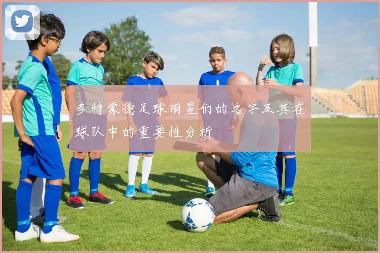 多特蒙德足球明星们的名字及其在球队中的重要性分析