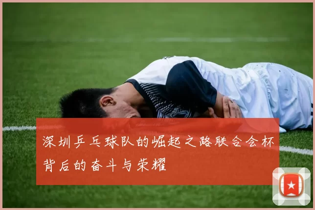 深圳乒乓球队的崛起之路联合会杯背后的奋斗与荣耀