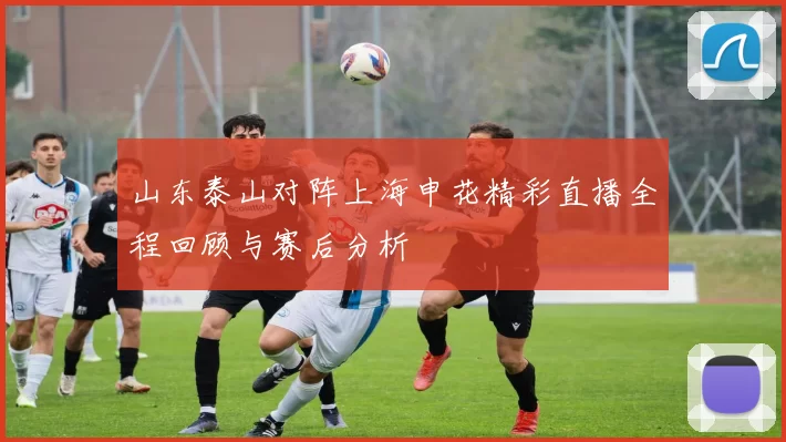 山东泰山对阵上海申花精彩直播全程回顾与赛后分析