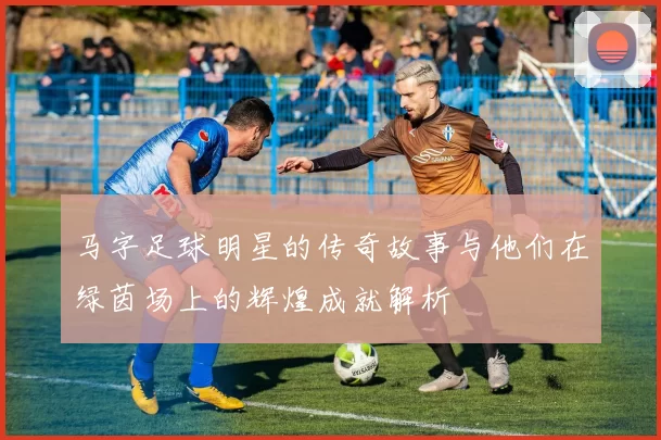 马字足球明星的传奇故事与他们在绿茵场上的辉煌成就解析