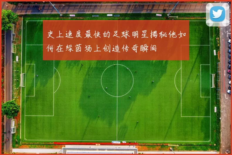 史上速度最快的足球明星揭秘他如何在绿茵场上创造传奇瞬间