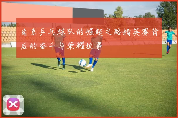 南京乒乓球队的崛起之路精英赛背后的奋斗与荣耀故事