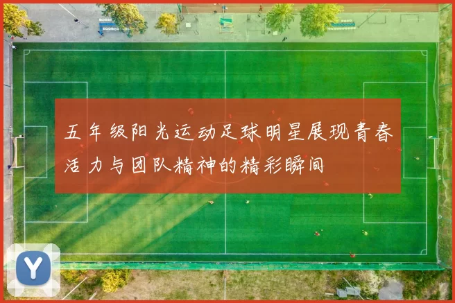 五年级阳光运动足球明星展现青春活力与团队精神的精彩瞬间