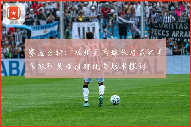 赛后分析：杭州乒乓球队与武汉乒乓球队灵活性对比与战术探讨