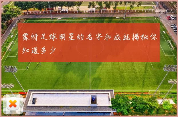 蒙特足球明星的名字和成就揭秘你知道多少